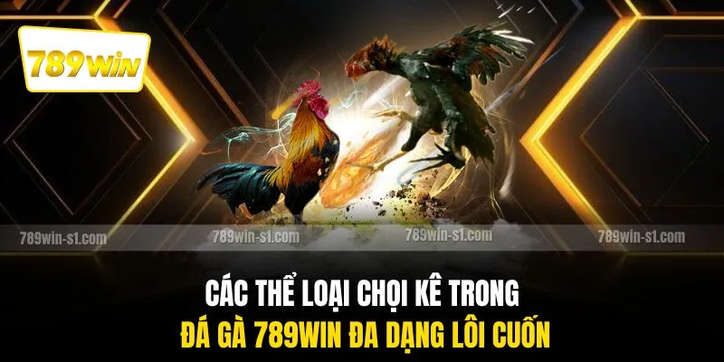 Các thể loại chọi kê trong đá gà 789WIN đa dạng lôi cuốn