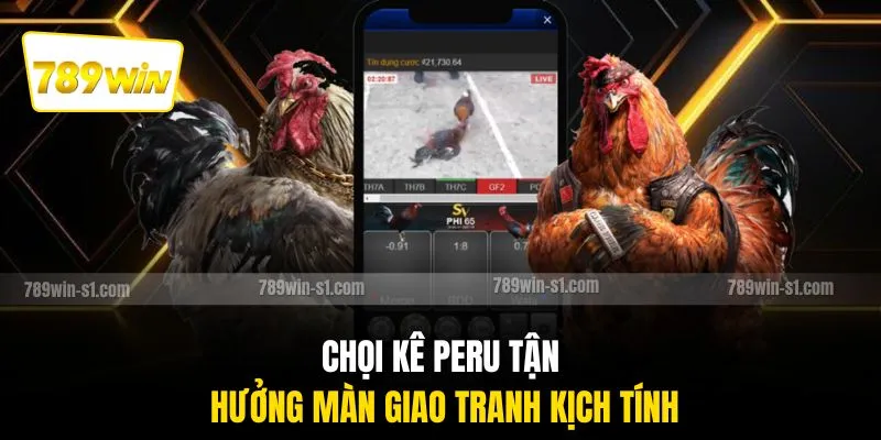 Chọi kê Peru tận hưởng màn giao tranh kịch tính