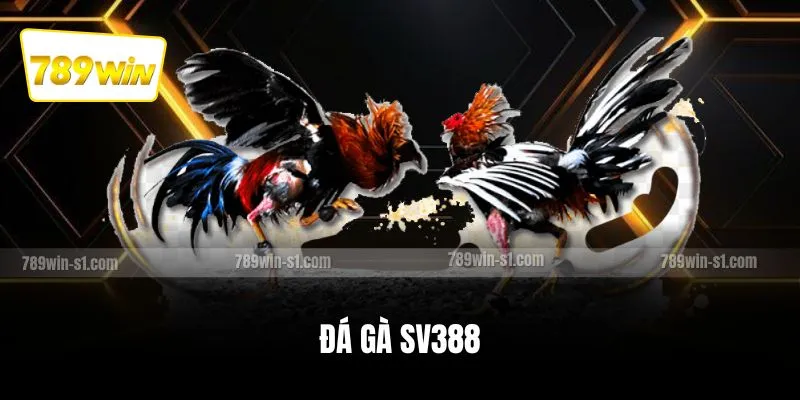 Đá gà SV388