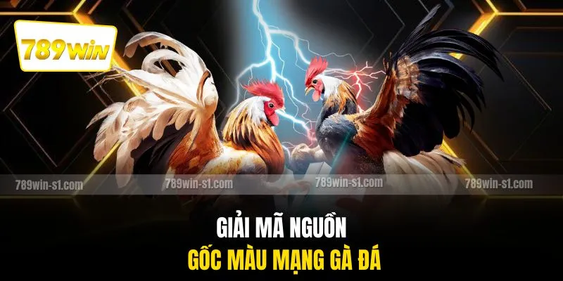 Giải mã nguồn gốc màu mạng gà đá
