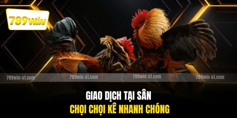 Giao dịch tại sân chọi chọi kê nhanh chóng