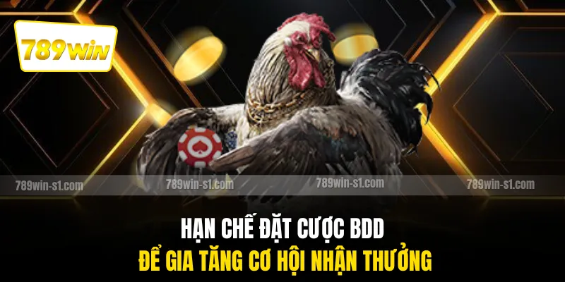 Hạn chế đặt cược BDD để gia tăng cơ hội nhận thưởng