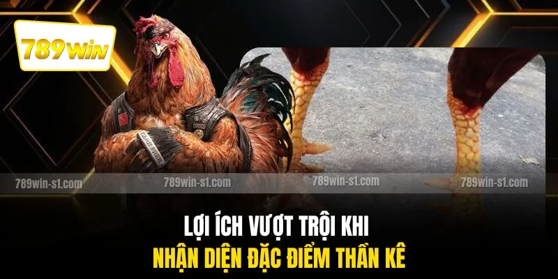 Lợi ích vượt trội khi nhận diện đặc điểm thần kê