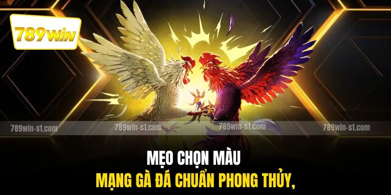 Mẹo chọn màu mạng gà đá chuẩn phong thủy,