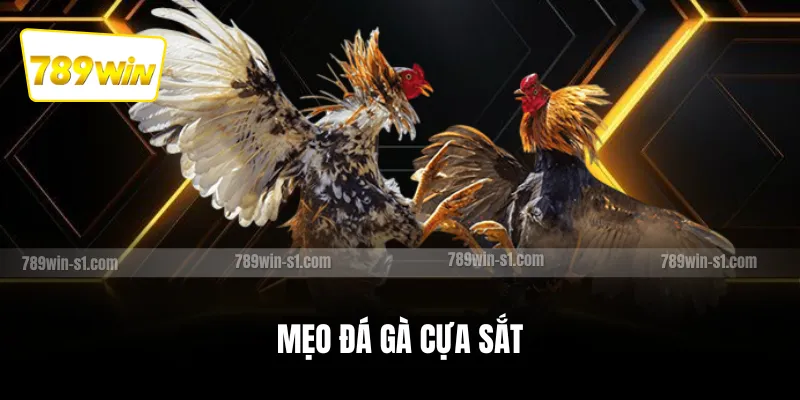 Mẹo đá gà cựa sắt