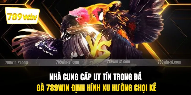 Nhà cung cấp uy tín trong đá gà 789WIN định hình xu hướng chọi kê
