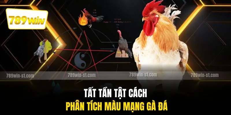 Tất tần tật cách phân tích màu mạng gà đá
