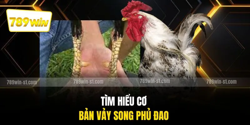 Tìm hiểu cơ bản vảy song phủ đao 